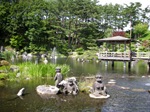 遠野池